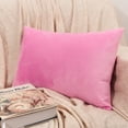 thumbnail image 4 of NTBAY 2 Pack Velvet Decorative Throw Pillow Cover with Hidden Zipper, 12"x20", Pink Purple, 4 of 5