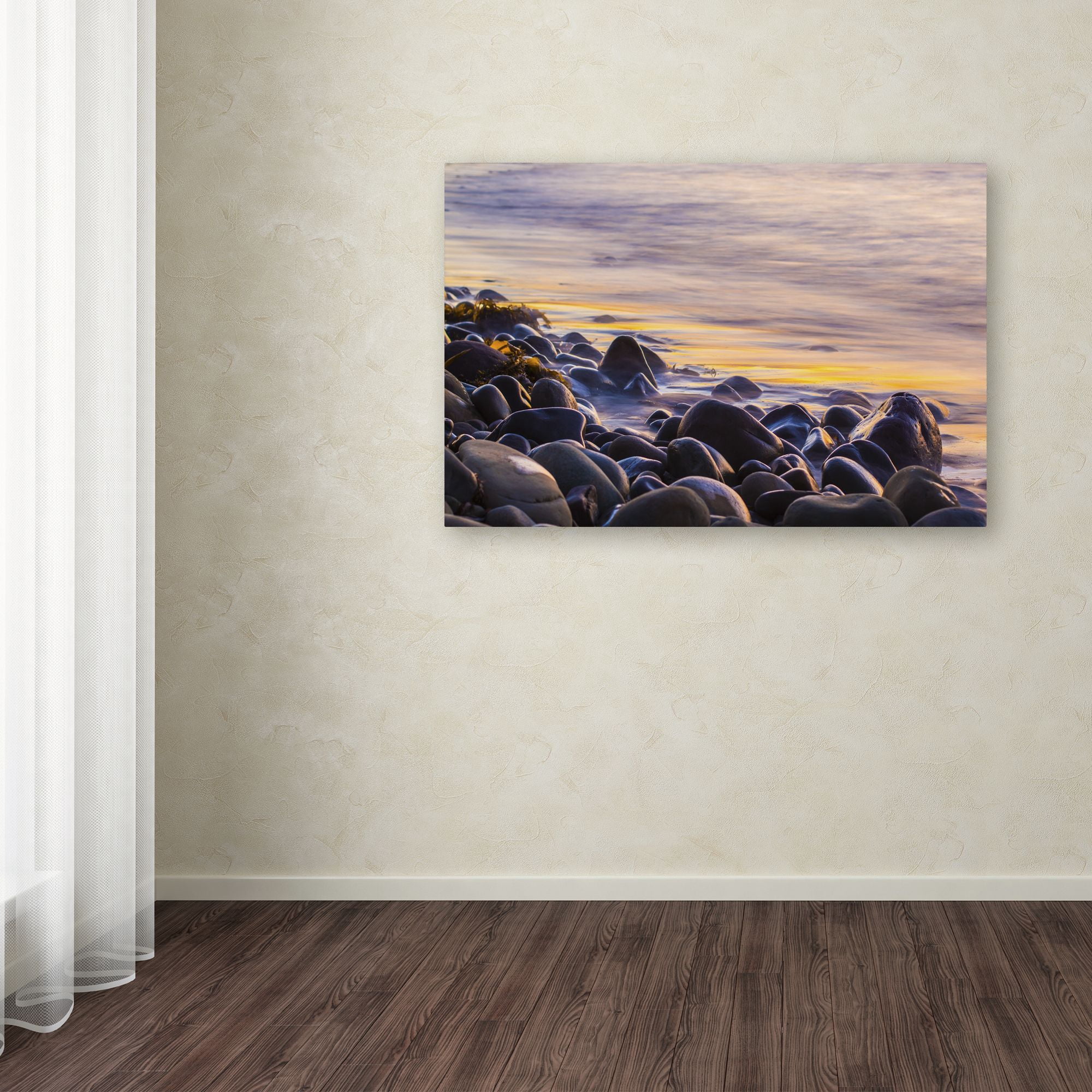 Trademark Fine Art Chris Moyer 'Wet Rock Reflections' 16 x 24 (ALI0767-C1624GG)