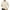 Beige-Athletic-Men, variant on Zedker Men's Crewneck Shirts Warm Sherpa Lined Sweatshirts Basic Winter Fleece Thick Pullover Tops
