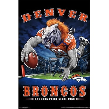 Denver Broncos - End Zone Laminated Poster Print (22 x 34)