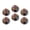 C0731, variant on Glass Refrigerator Magnet 6Pcs Magnetic Fridge Sticker,Decor for Kitchen,Whiteboard,Cabinet,Charming Raccoon In Floral Fantasy
