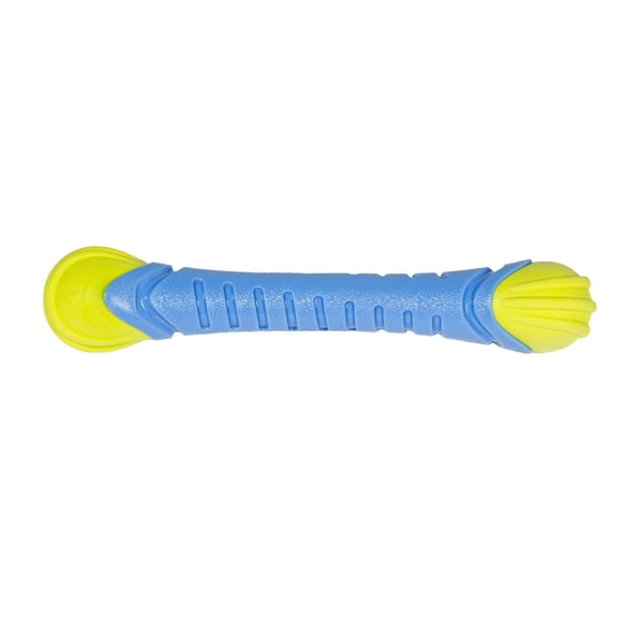 Vibrant Life Floating Rubber Stick Dog Toy