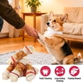 thumbnail image 6 of Dog Treats Chicken Wrapped Rawhide Bones,Long Lasting Chicken Wrap Knotted Bones Dog Chews 4.5"，Digestion-Friendly Training Treats for Middle Large Dogs, 6 of 7