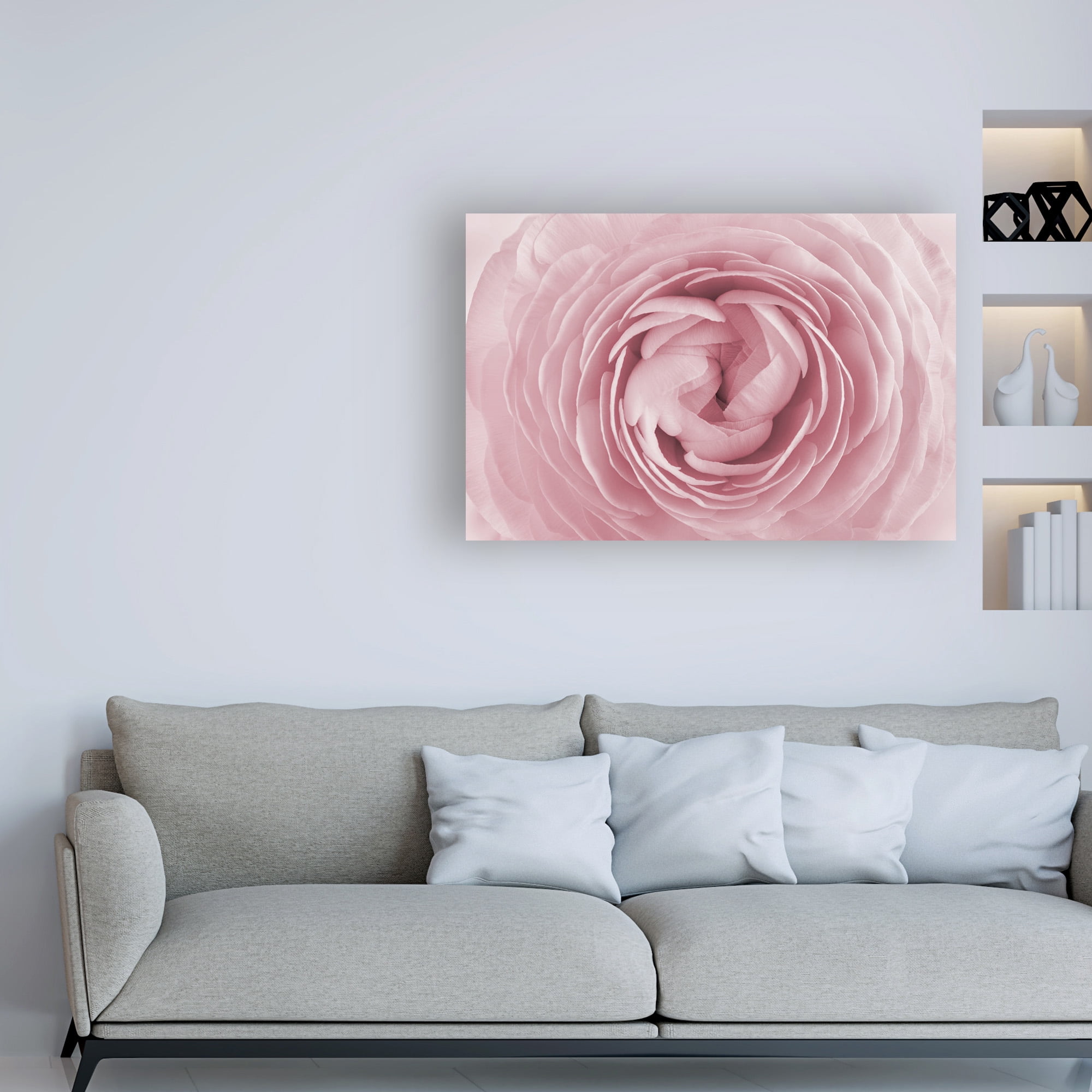 Trademark Fine Art 'Large Pink Rose' Canvas Art by PhotoINC Studio