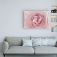 thumbnail image 3 of Trademark Fine Art 'Large Pink Rose' Canvas Art by PhotoINC Studio, 3 of 3