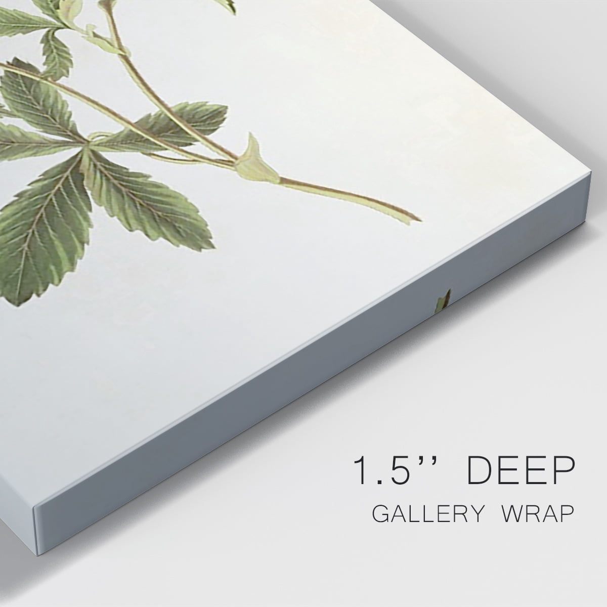 Flowers of the Seasons VIII Premium Gallery Wrapped Canvas - Ready to Hang