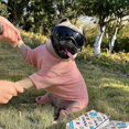 thumbnail image 2 of Dog Goggles Sunglasses Windproof Soft Frame For Small And Medium Puppies, 2 of 5