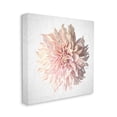 thumbnail image 3 of Stupell Industries Abstract Dahlia Flower Blossom Pink Sunlit Petals Painting Gallery Wrapped Canvas Print Wall Art, Design by Michele Norman, 3 of 5