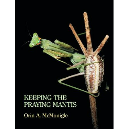 Keeping The Praying Mantis Mantodean Captive Biology