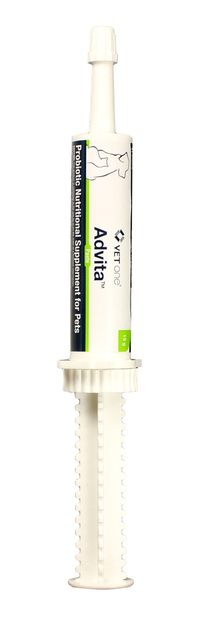 VetOne Advita Probiotic Nutritional Supplement Paste for Dogs