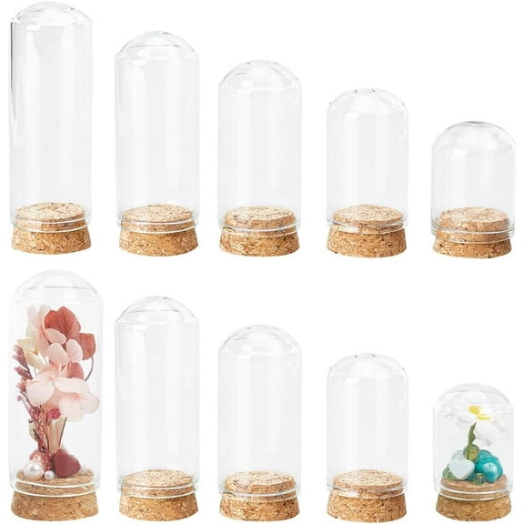 15Pcs 5 Styles Clear Glass Dome Cover Decorative Display Case Cloche Bell Jar Terrarium with Cork Base Clear 2.95~3x4.7~8.8cm 3pcs/style