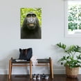 thumbnail image 3 of Art.com Monkey Selfie Photographic Print by David Slater, 24" x 36", 3 of 4