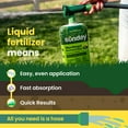 thumbnail image 4 of Sunday Northeast Nutrients Plus Ready-to-Spray Liquid Lawn Fertilizer (15-0-0), 42.3 fl oz, 3000-Sq ft, 4 of 10
