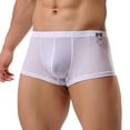 thumbnail image 2 of Sngxgn Men's Boxer Briefs Stretch Underwear Underpants Regular Leg(White,L), 2 of 8