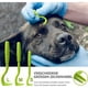 thumbnail image 4 of Pinzas para garrapatas para perros y gatos, juego de 5 pinzas para garrapatas profesionales, pinzas para garrapatas seguras y eficaces para humanos y animales, 4 of 5