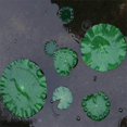thumbnail image 4 of Lirio de agua artificial, adecuado para plantas flotantes y hojas de loto realistas en hogares, jardines, estanques, piscinas, acuarios y paisajes 8 piezas ER, 4 of 5