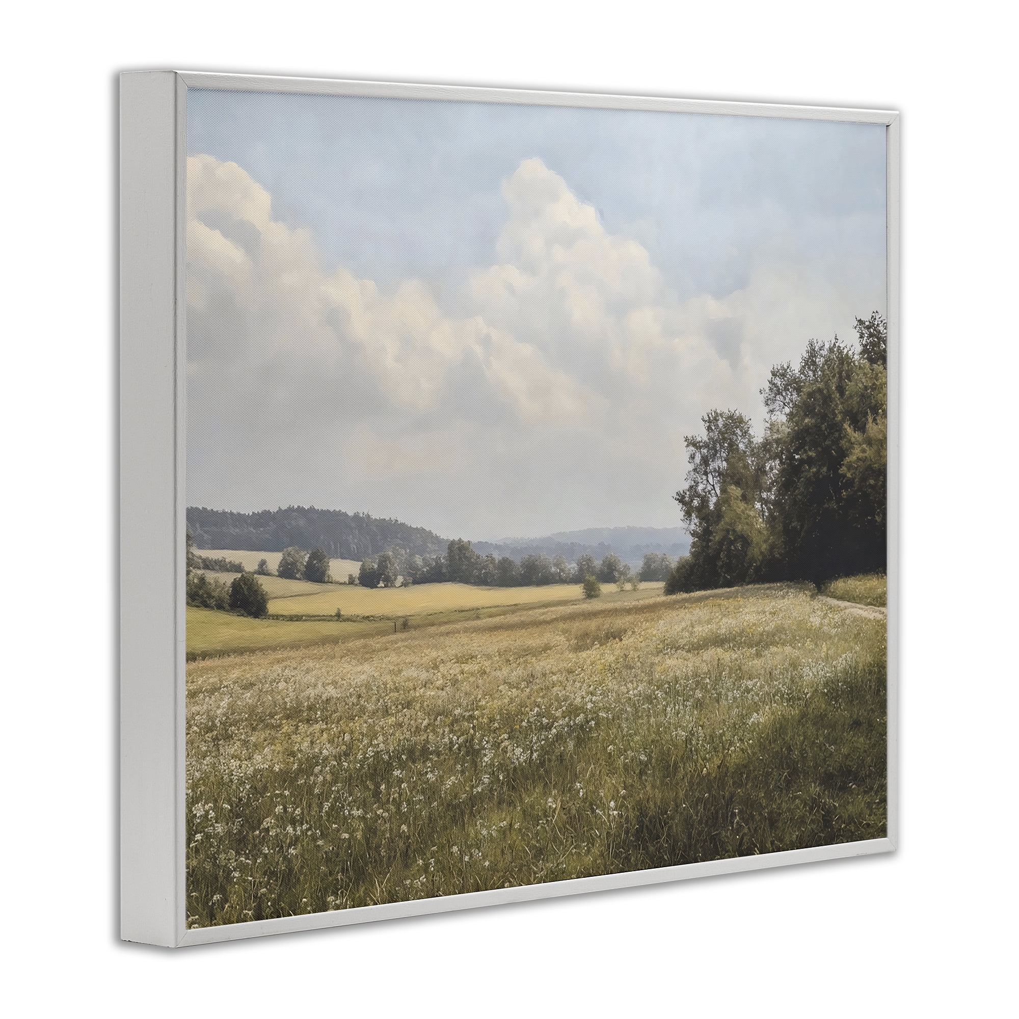 Stupell Industries Summer Landscape Cloudy Meadow White Framed Giclee Art, design by Franklyn Gregory