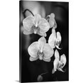 thumbnail image 1 of Great BIG Canvas | "Close-up of a branch of orchids" Canvas Wall Art - 20x30, 1 of 2