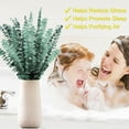 thumbnail image 3 of Natural Fresh Eucalyptus Bundle for Shower & Home Decor, 30 Pieces, 17 Inches, 3 of 7