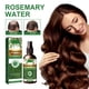 thumbnail image 2 of Great promotion Essential oils Essential Oil Rosemaries Hair Growth Oil Strengthens Hair Organics Rosemaries Hair Strengthening Oil Rosemaries Essences Oil Spray 30ml(buy 2 get 10% off), 2 of 5