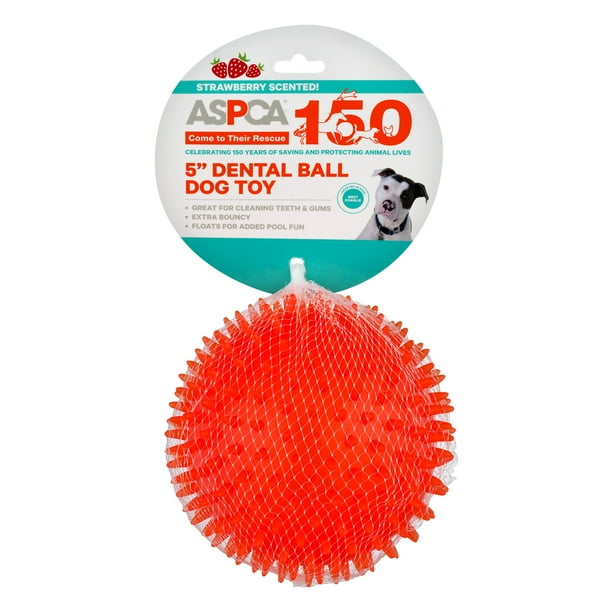 Aspca Strawberry Scented Pink Squeaky Dental Ball Dog Toy 5 Orange Walmart Com Walmart Com Aspca Strawberry Scented Pink Squeaky Dental Ball Dog Toy 5 Orange Walmart Com Walmart Com