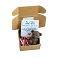 thumbnail image 2 of Dserhfy Little Bear in Box My Little Worry Bear Miniature Pocket Hug Bear with Positive Card Emotional Support Inspirational Gifts for Friends, 2 of 8