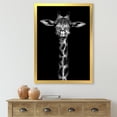 thumbnail image 3 of Designart 'Portrait Of A Giraffe In Monochrome' Farmhouse Framed Art Print, 3 of 4