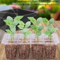 thumbnail image 4 of POINTERTECK Seedling Starter Kit Plastic 10Pcs 12 Holes Seed Starter Tray Kit with Adjustable Vents Multifunctional Seed Propagator Set with Transplant Tools Labels Gloves for Vegetable F, 4 of 10