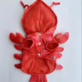 thumbnail image 5 of Halloween Red Lobster Pet Fancy Costume Sleeveless Soft Two‑Legged Coat Funny Outfit for Corgis Teddies Pugs Small Dogs Cats, 5 of 5