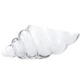 thumbnail image 2 of Jarrón MDLUU con carcasa de cristal, 28 cm, soporte para popurrí de conchas marinas, 2 of 7