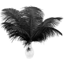 Piokio 10-Pack Black Ostrich Feathers Plumes 12-14 Inches | Bulk Feathers For DIY, Weddings, Halloween, Gatsby Decor
