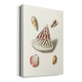 thumbnail image 2 of Pastel Knorr Shells VII Premium Gallery Wrapped Canvas - Ready to Hang, 2 of 9