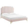thumbnail image 2 of Modway Colette King Performance Velvet Platform Bed in Pink, 2 of 10