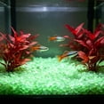 thumbnail image 4 of SPOORYYO 100Pcs Glowing Aquarium Pebbles for Luminous Aquascaping and Decor, 5-9mm, 4 of 6