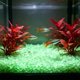 thumbnail image 4 of Guijarros luminosos para acuario que brillan en la oscuridad: piedras luminiscentes para paisajismo acuático, decoración de peceras, relleno de jarrones y jardinería. Grava luminosa de plást, 4 of 6