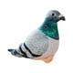 thumbnail image 5 of Animales de Peluche Hugo Paloma Realista Juguete de Peluche 20 cm Gris verdoso, 5 of 10