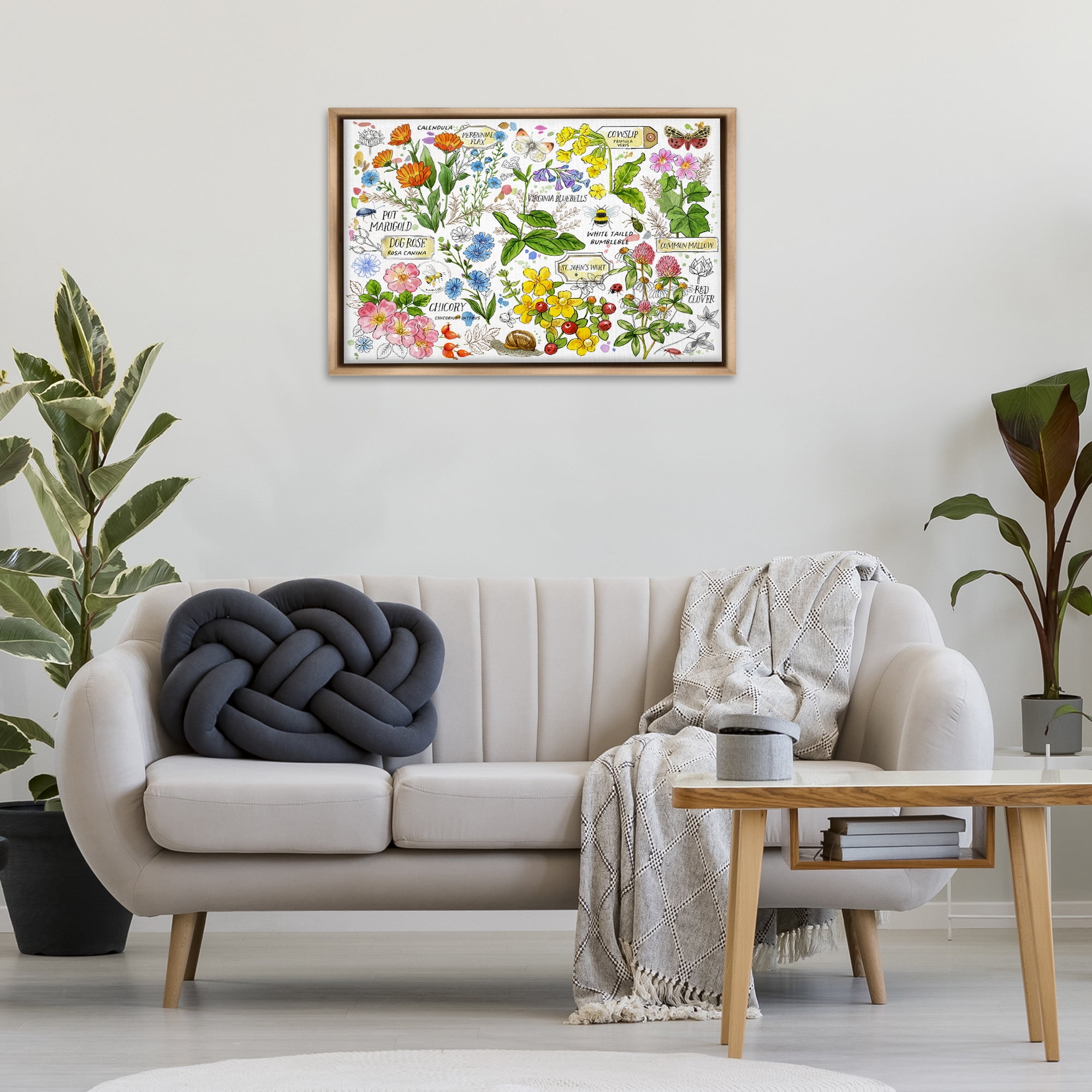 Stupell Industries Various Herbs Benefits Botanical & Floral Painting Brown Floater Framed Canvas Art Print Wall Art, 31 x 21