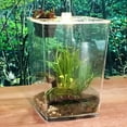 thumbnail image 2 of Micro Habitat Terrarium Enclosure, Reptile Breeding Box, Reptile Pet  Acrylic Box, 2 of 12