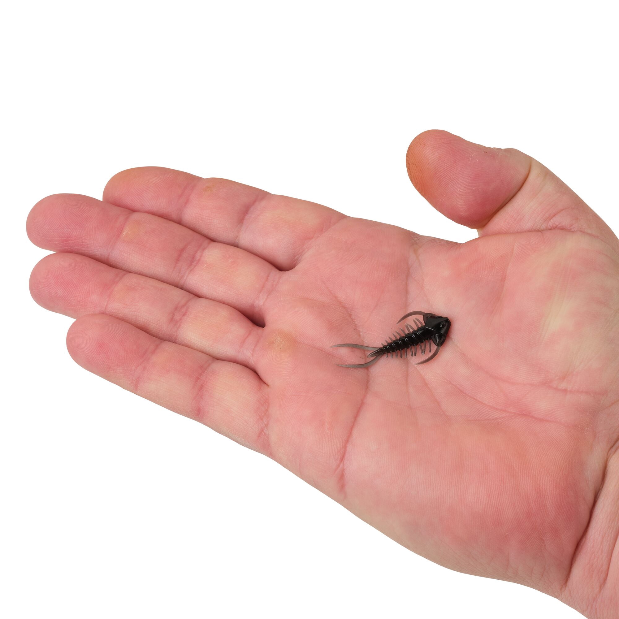 Berkley PowerBait® Trilobite, 1.5 in, Creatures, Black (6 Count)
