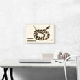 thumbnail image 2 of ARTCANVAS Rattle Snake Canvas Art Print by Mark Catesby - Size: 18" x 12" (0.75" Deep), 2 of 9