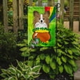 thumbnail image 2 of Caroline's Treasures BB1992GF Papillon St. Patrick's Day Flag Garden Size , Small, multicolor, 2 of 3