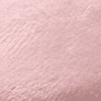 Rose Pink