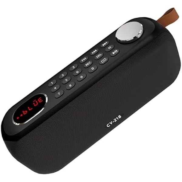 wonima11 Portable Bluetooth Speaker FM Radio Digital, Support USB/SD Card MP3 Music Player/AUX/REC, Build-in 3000mAh Rechargeable Battery, 10W Powerful Speaker and Earphone Jack for Indoor Outdoor