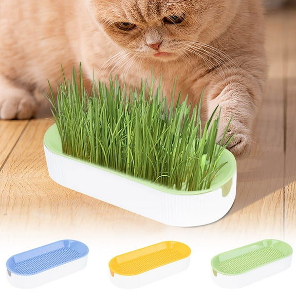 Cat Grass Planter, Hydroponic Planter, Hydroponic Grass Planter, Self Watering Cat Grass Planting Container Soilless Pots Window Planting Box Hydroponic Planter Nursery Planting Pots Growing Products