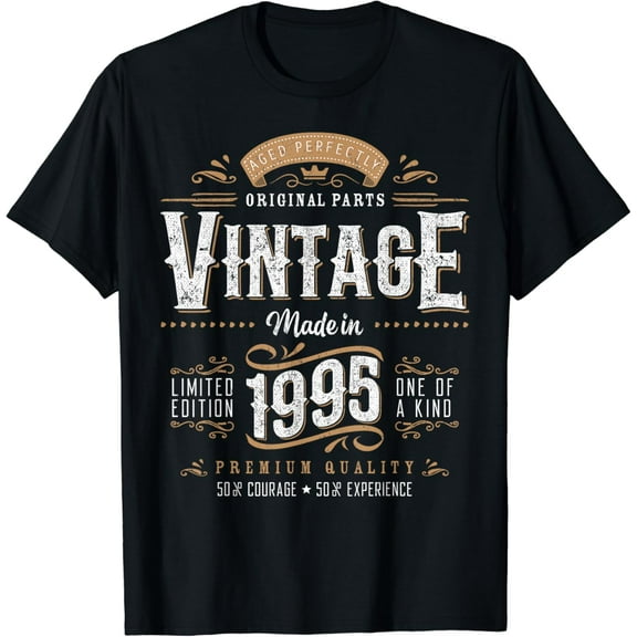Vintage 1995 29th Birthday Decoration 29 Year Old Gifts Men T-Shirt