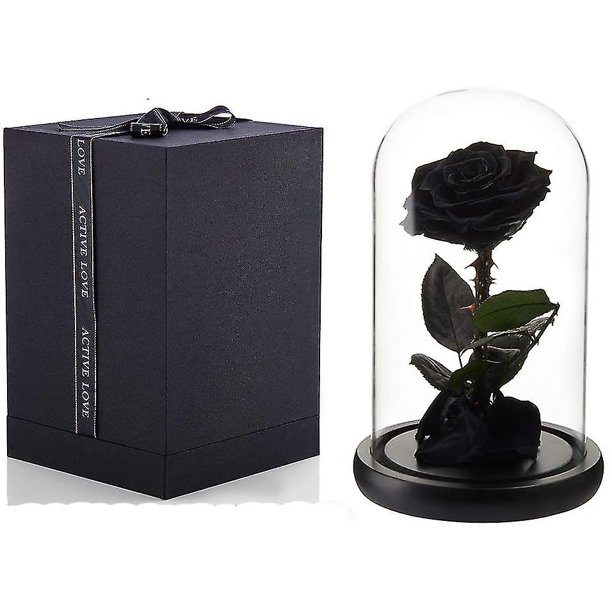 Rosa real preservada Rosa eterna en cúpula de cristal Regalo para ella Acción de gracias Navidad Día de San Valentín Cumpleaños Día de la madre (negro) huangjie unisex