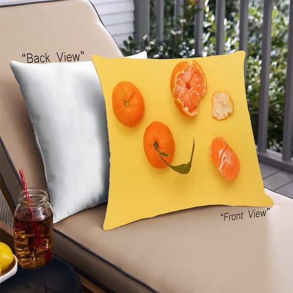 Ahgly Company Foods Fruits Outdoor Throw Pillow, 18 inch by 18 inch