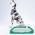 thumbnail image 4 of Minkissy Dog Training Toilet for Pet Owners Rectangular Plastic 1Pack, 4 of 8