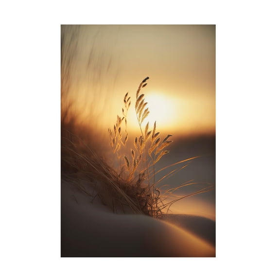 Canvas Wall Art - Treechild 'Evening Sun At The Beach' Wall Art for Living Room, Bedroom, or Office D?cor by Trademark Fine Art - 12 x 19 Inches