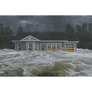Flex Seal Flood Protection, Waterproof Rubberized Sealant Liquid, 10 fl oz
